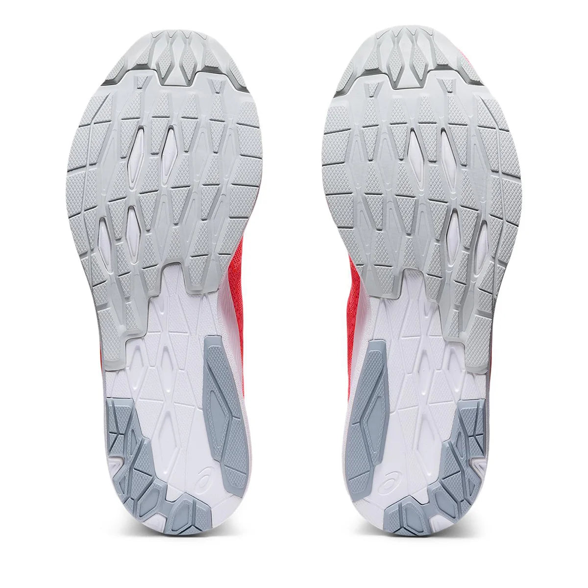 Asics EvoRide