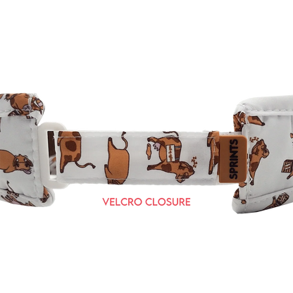 Sprints Running Visor