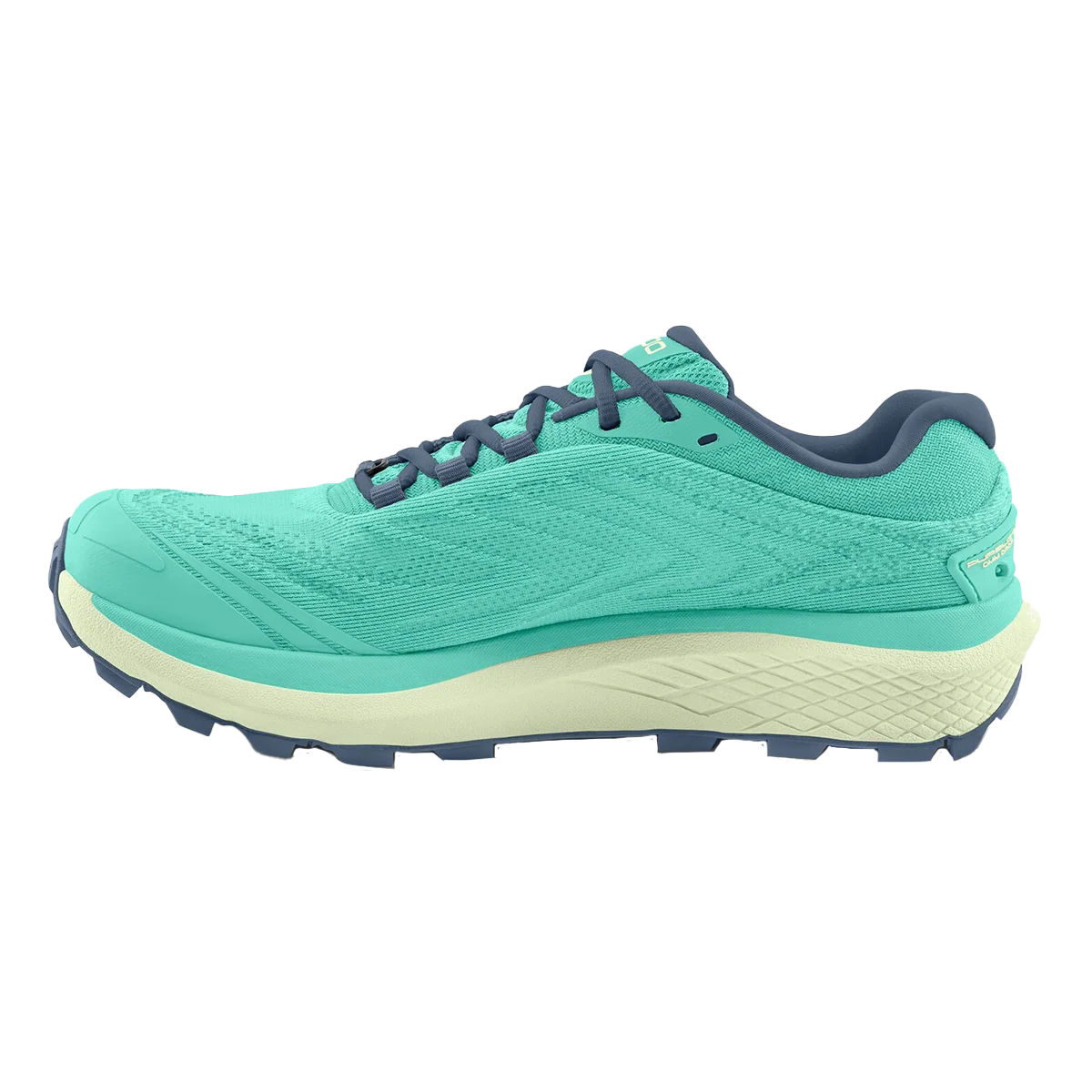 Topo Pursuit 2