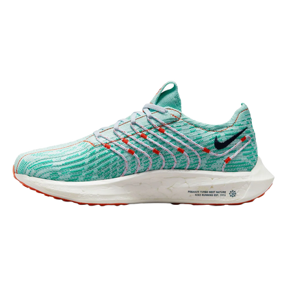 Nike Pegasus Turbo Next Nature