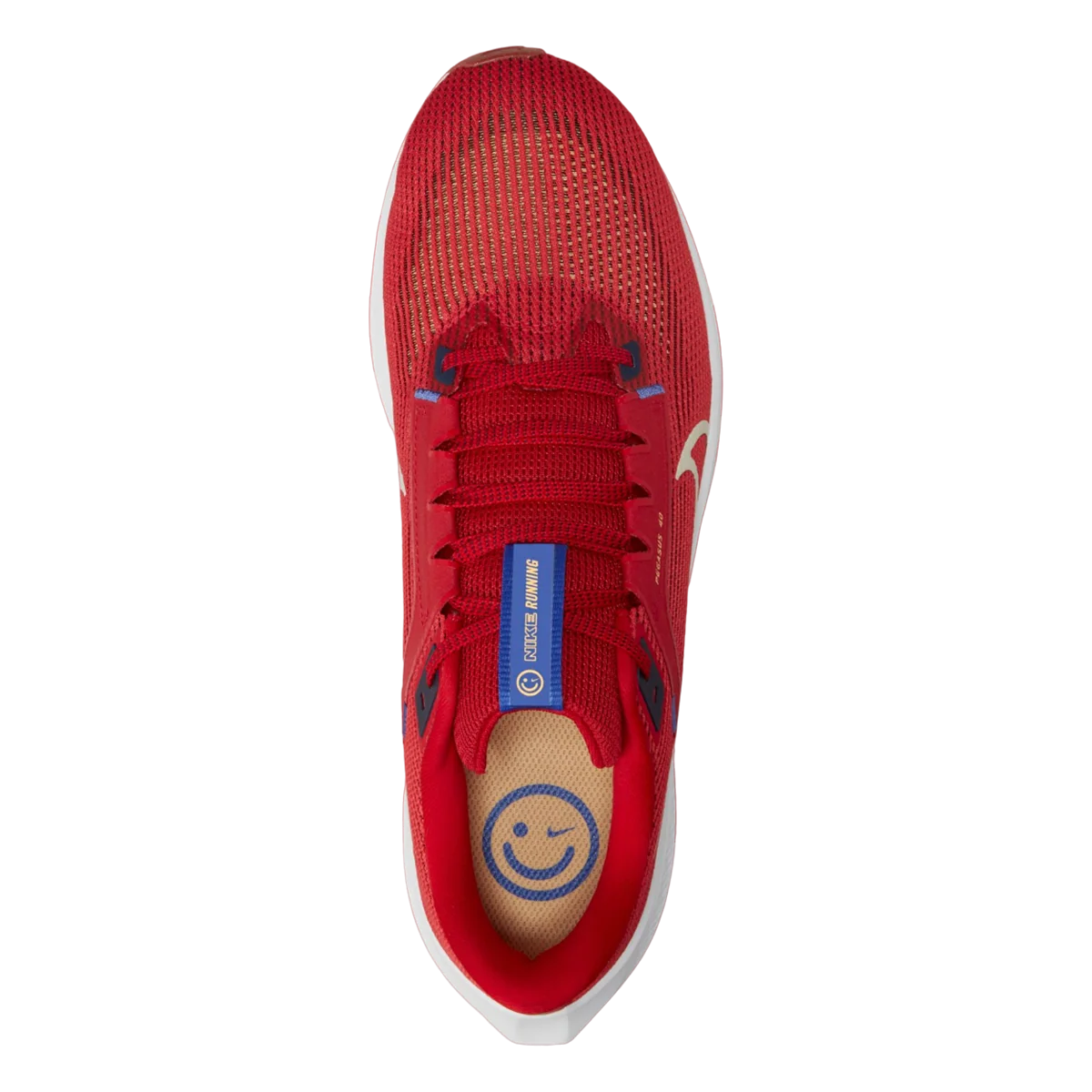 Nike Air Zoom Pegasus 40