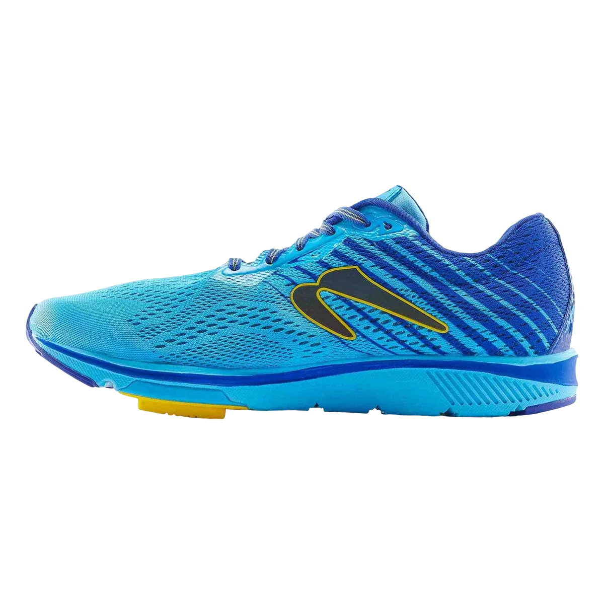 Newton Gravity 11