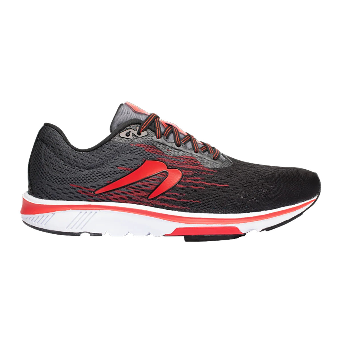 Newton Motion 10