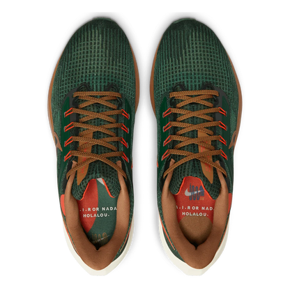 Nike Air Zoom Pegasus 39 A.I.R. Hola Lou