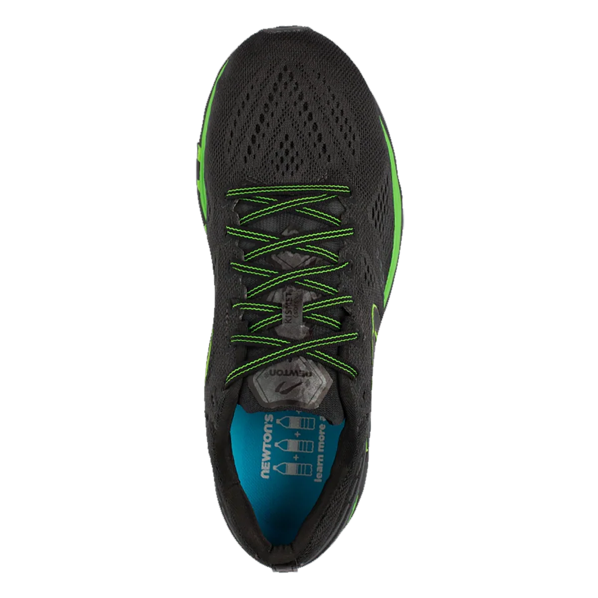 Newton Kismet 7