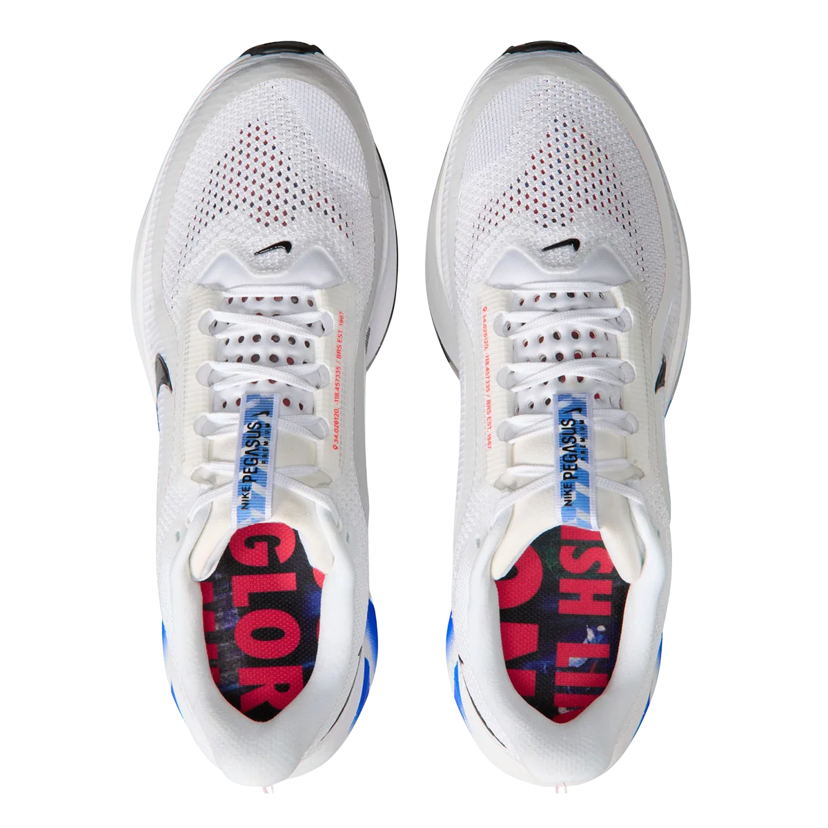 Nike Pegasus Premium CM