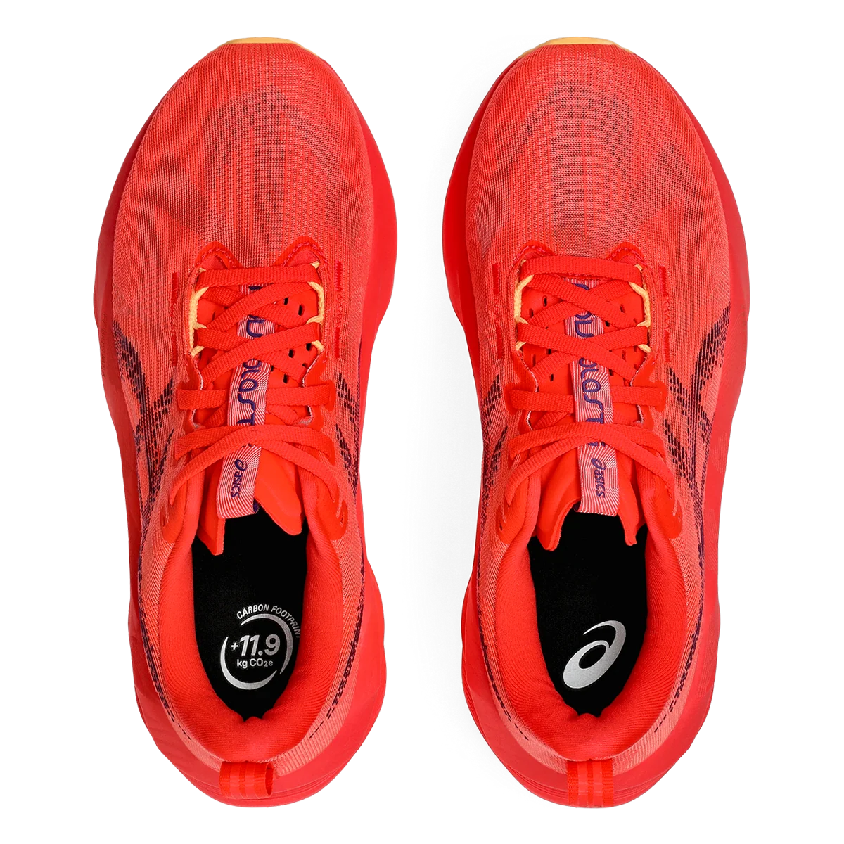 Asics Novablast 5 Purple   Red womens