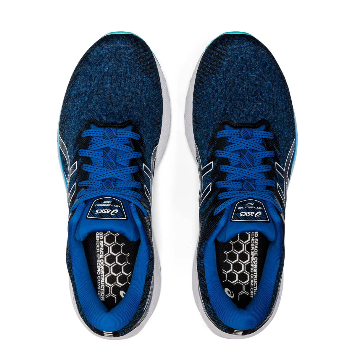 Asics GT 2000 10