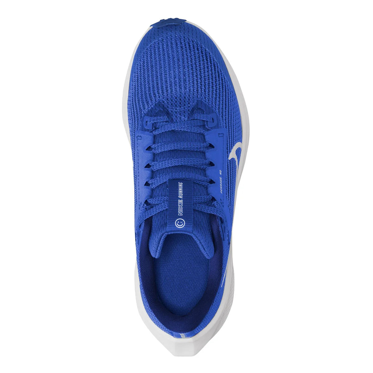 Nike Air Zoom Pegasus 40