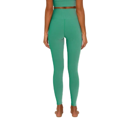 Beach Riot Tayler Legging