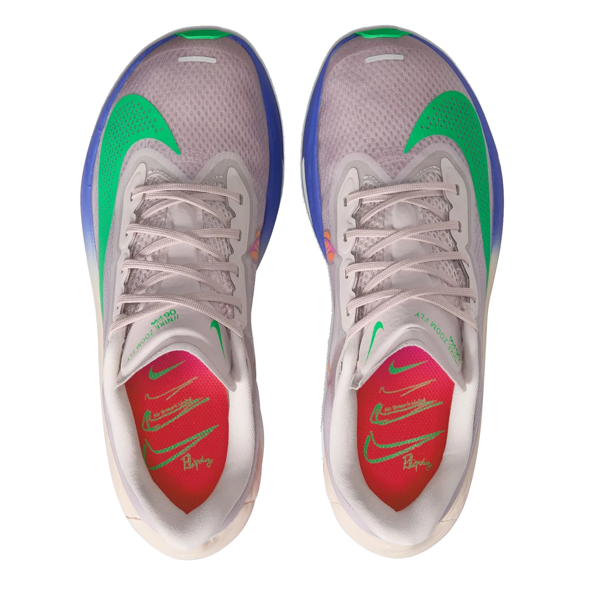Nike Zoom Fly 6 EK
