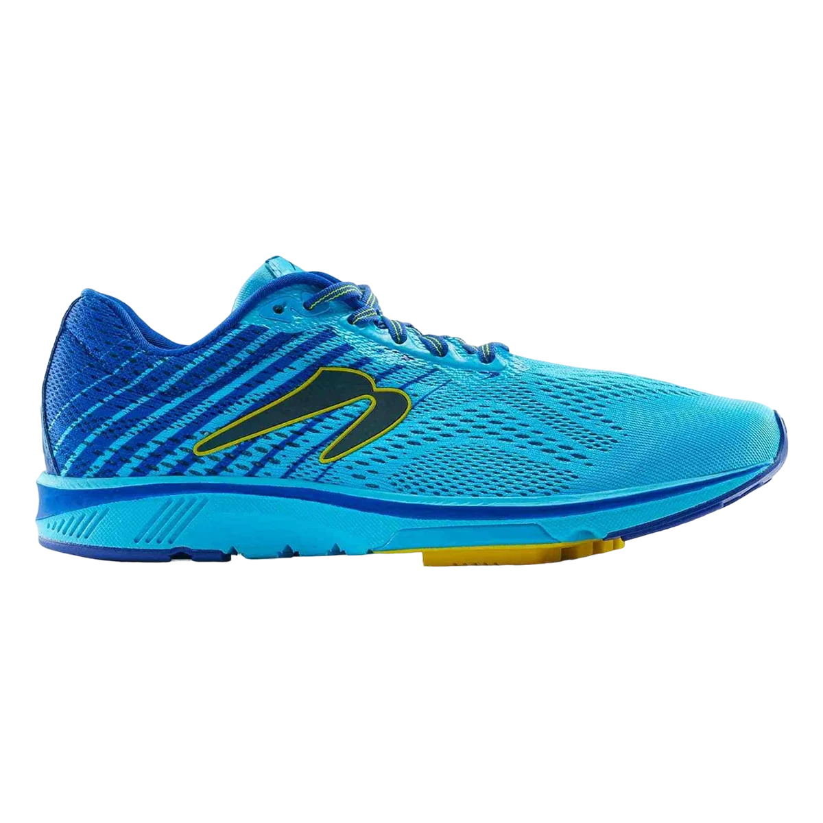 Newton Gravity 11