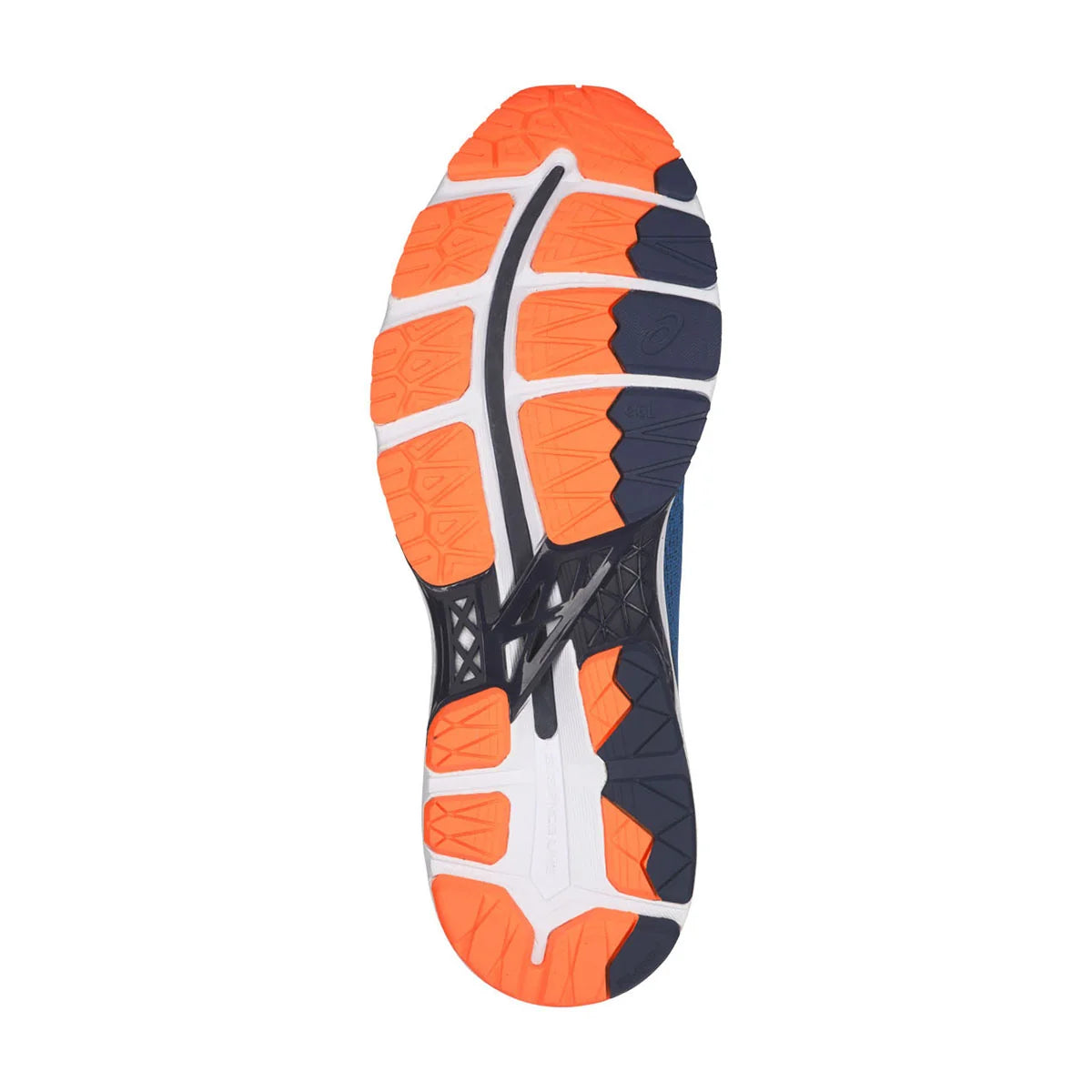 Asics Kayano 24