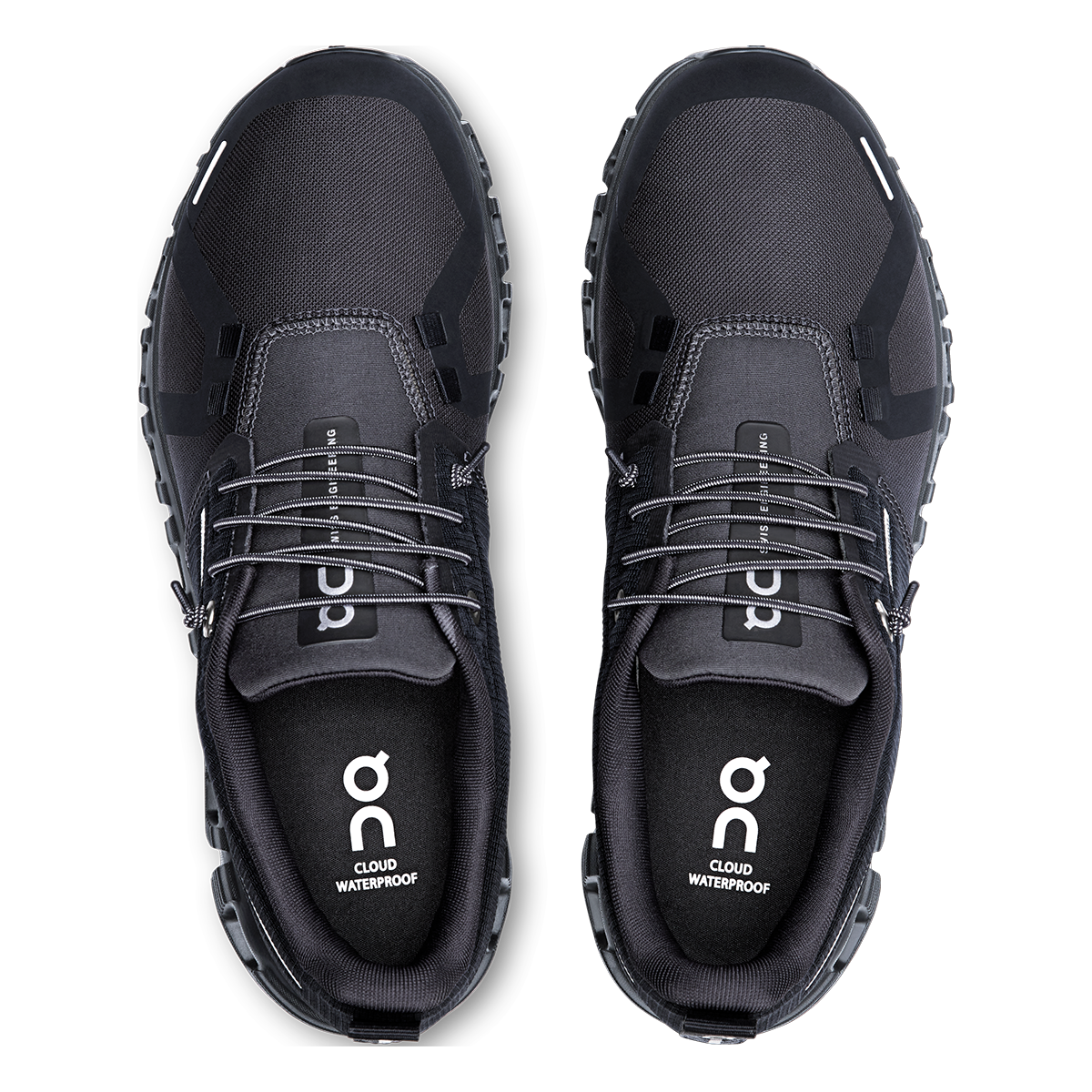 ON Cloud 6 WP
