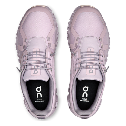 ON Cloud 6 WP