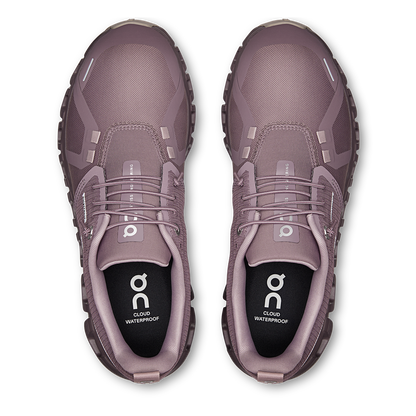 ON Cloud 6 WP