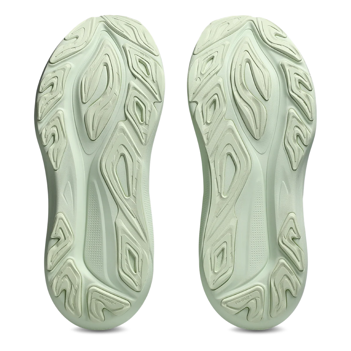 Asics GT 2000 14