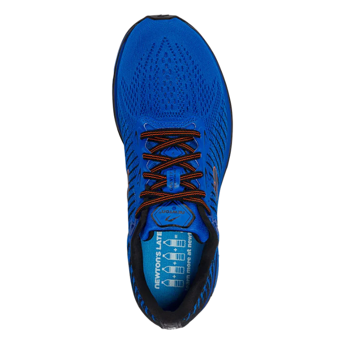 Newton Gravity 12