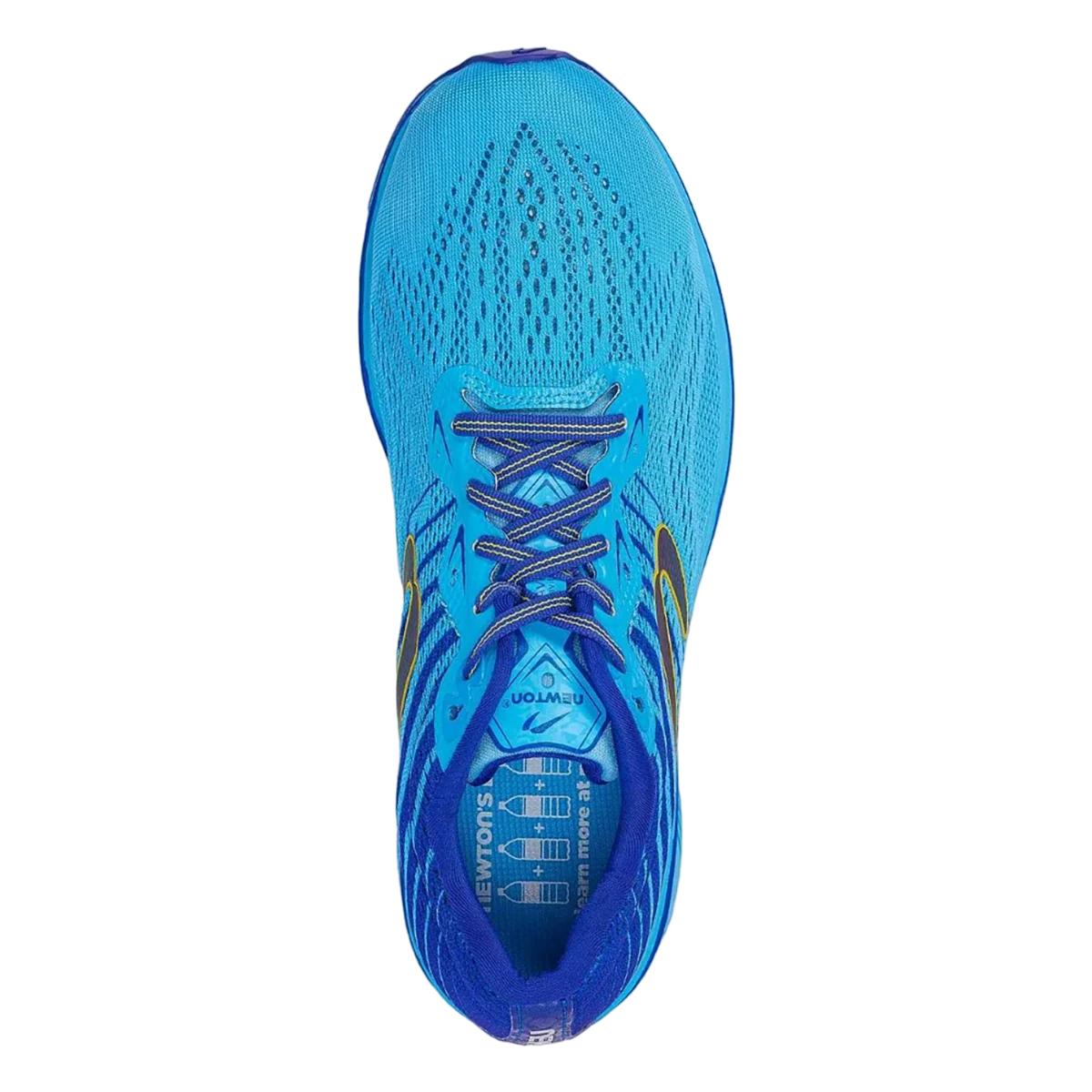 Newton Gravity 11