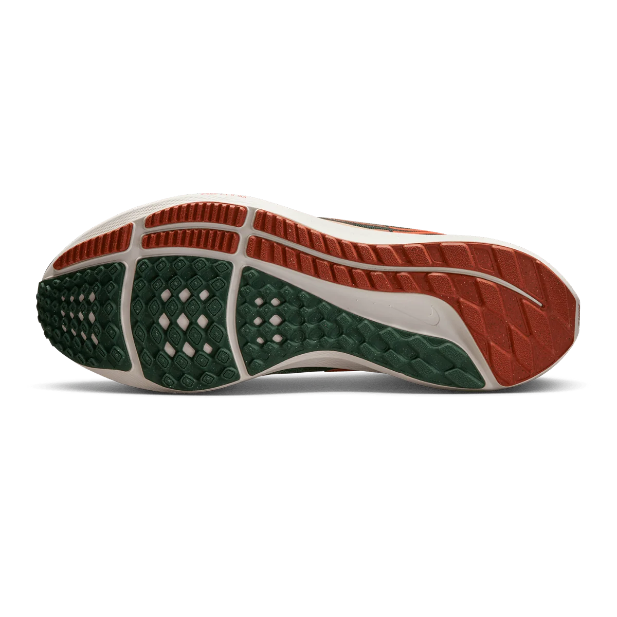 Nike Air Zoom Pegasus 39 A.I.R. Hola Lou