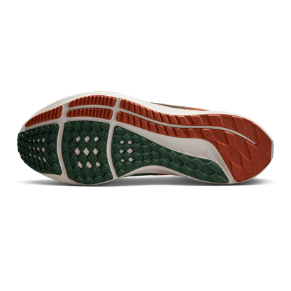 Nike Air Zoom Pegasus 39 A.I.R. Hola Lou