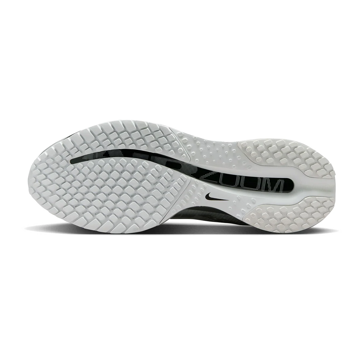 Nike Pegasus Premium RR
