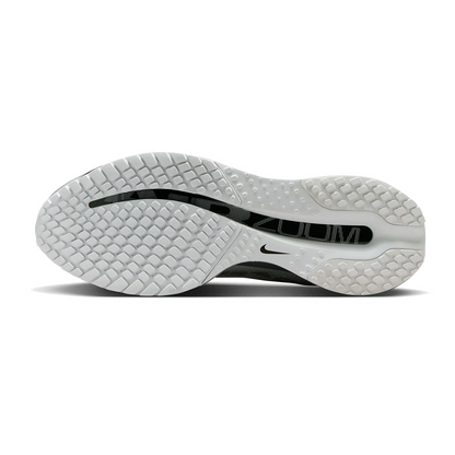 Nike Pegasus Premium RR