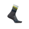 Ascent Grey