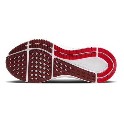 Nike Air Zoom Structure 25 PRM