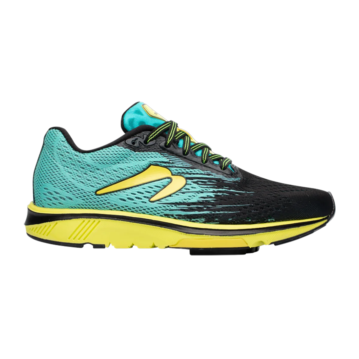 Newton Motion 10