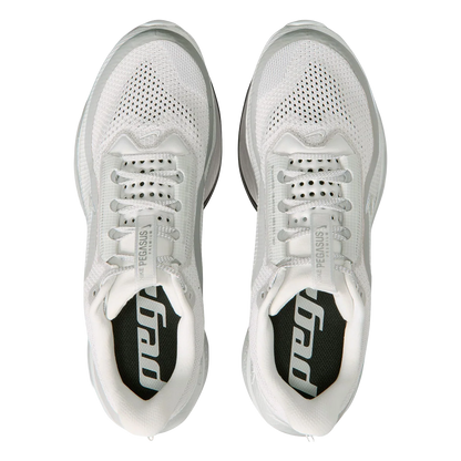 Nike Pegasus Premium RR