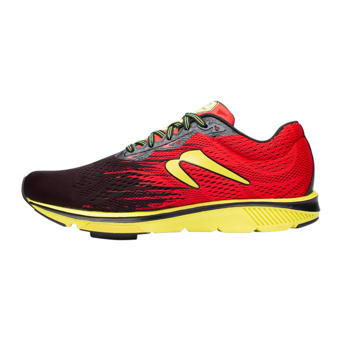 Newton Gravity 10
