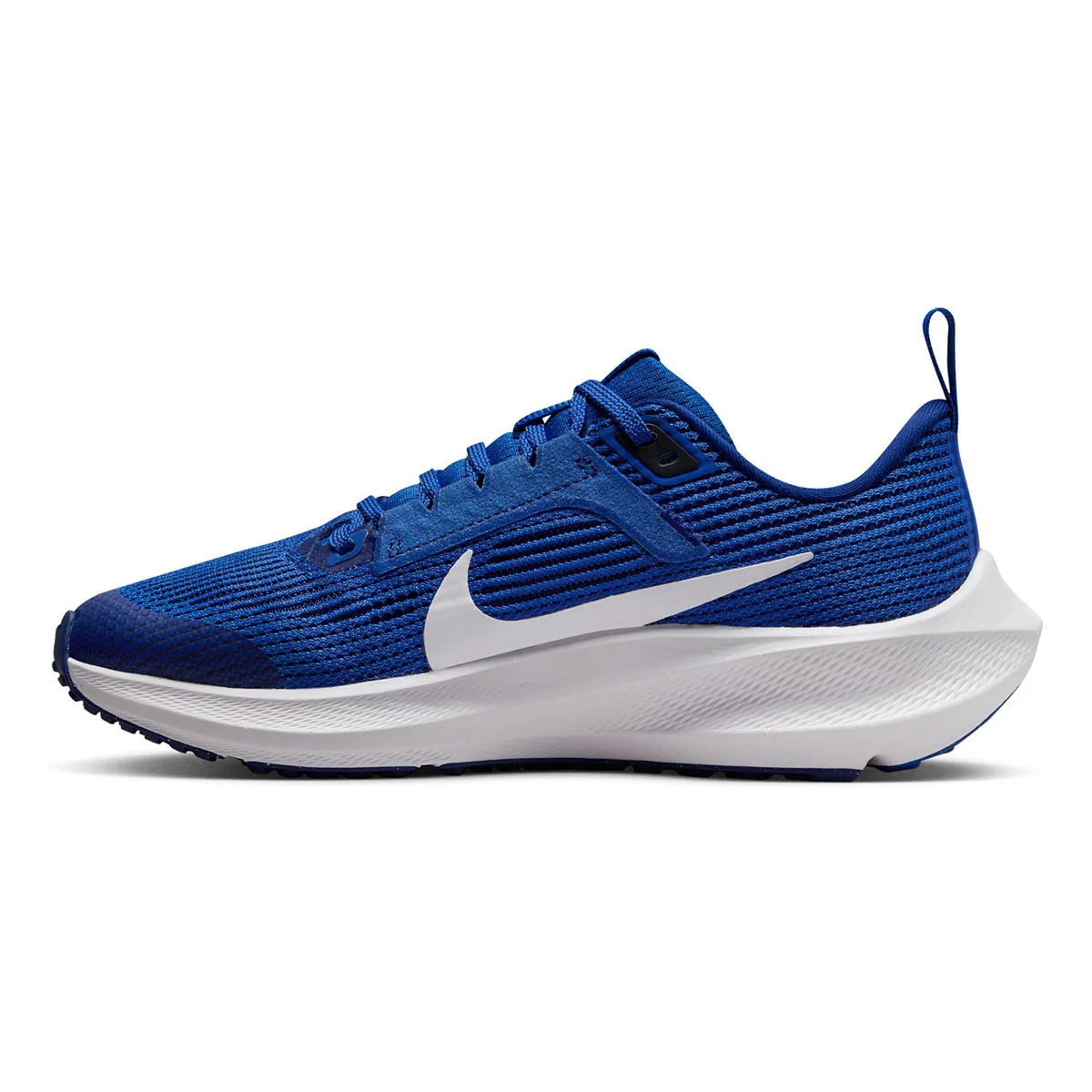 Nike Air Zoom Pegasus 40