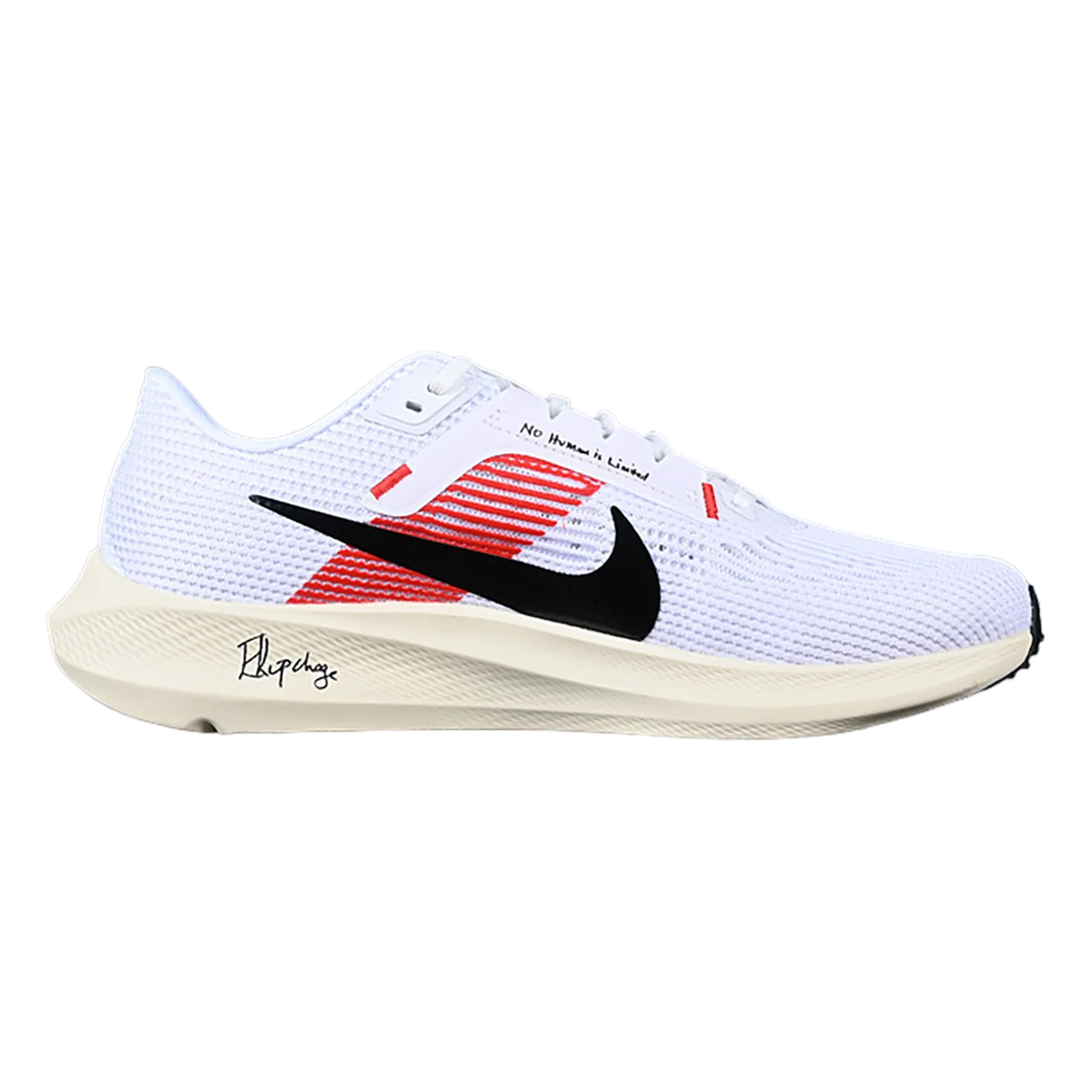 Nike Air Zoom Pegasus 40 EK