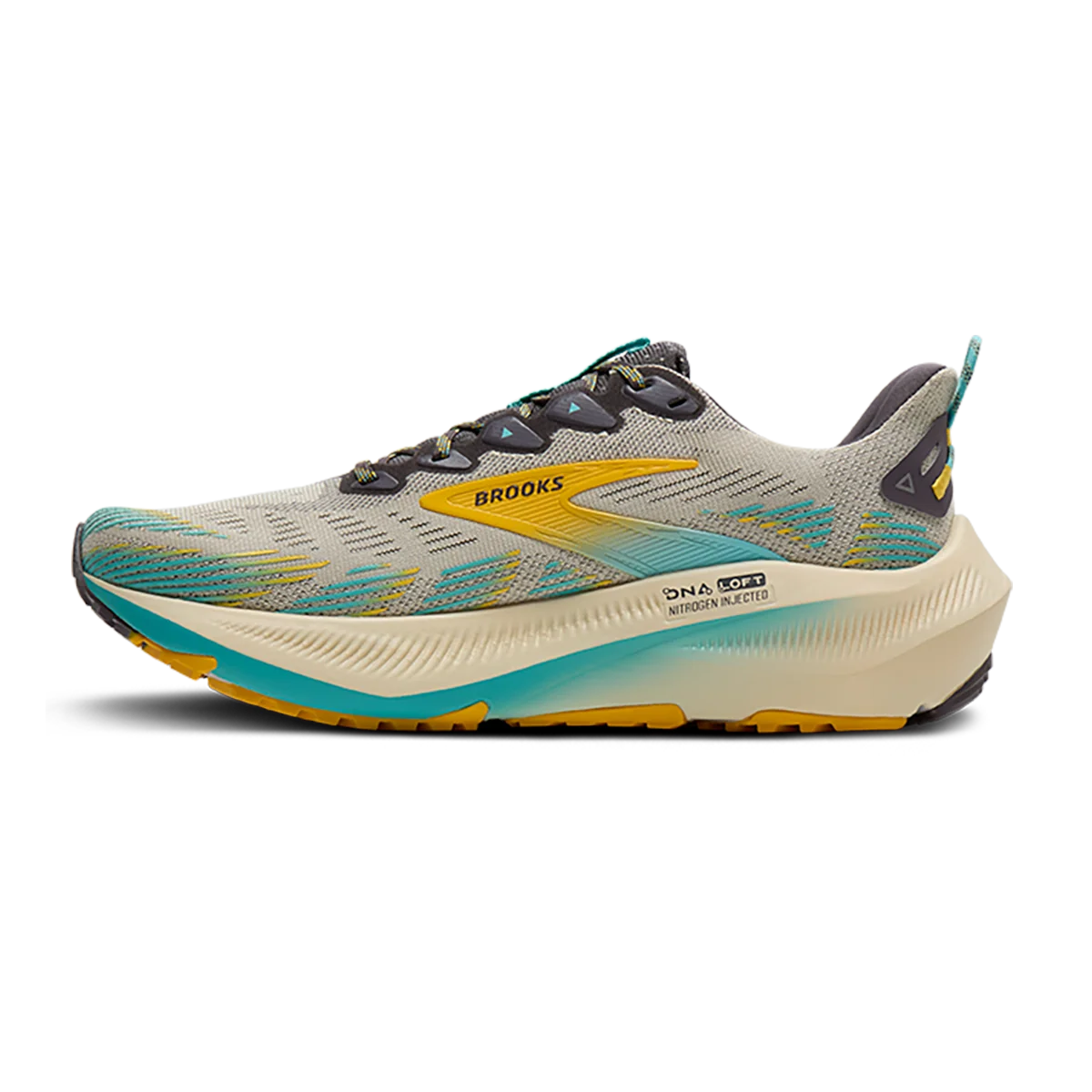 Brooks Ghost Trail