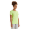 Shadow Lime