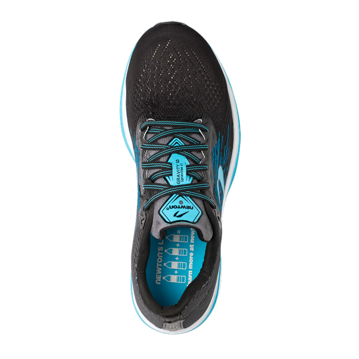 Newton Gravity 10