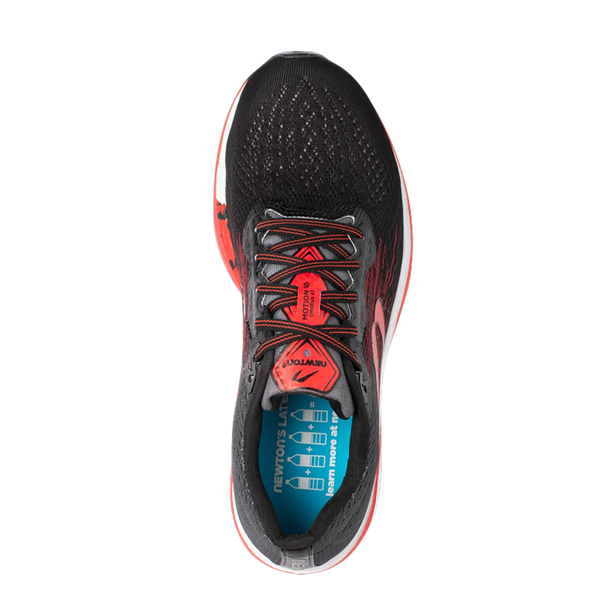 Newton Motion 10