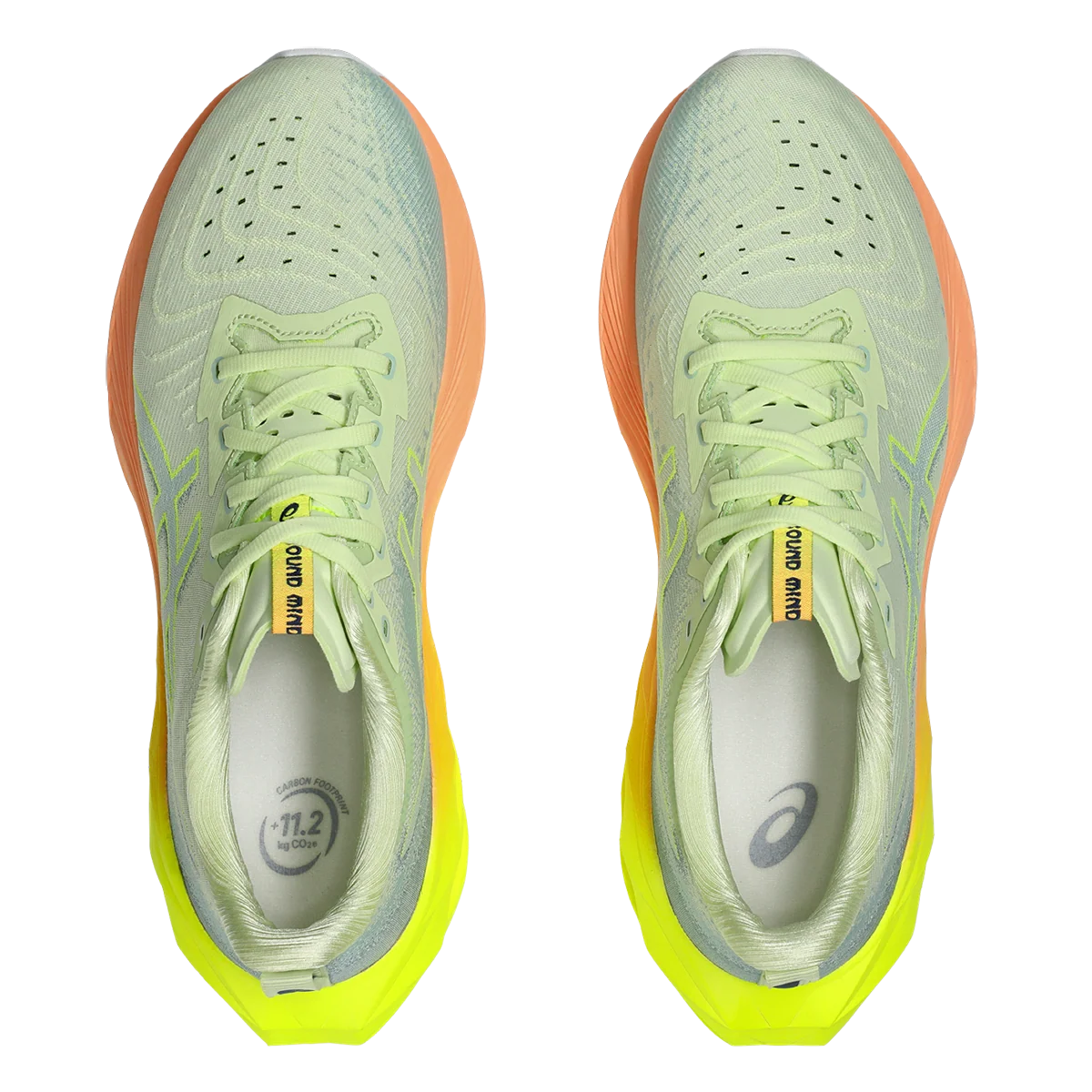 Asics Novablast 4 Paris