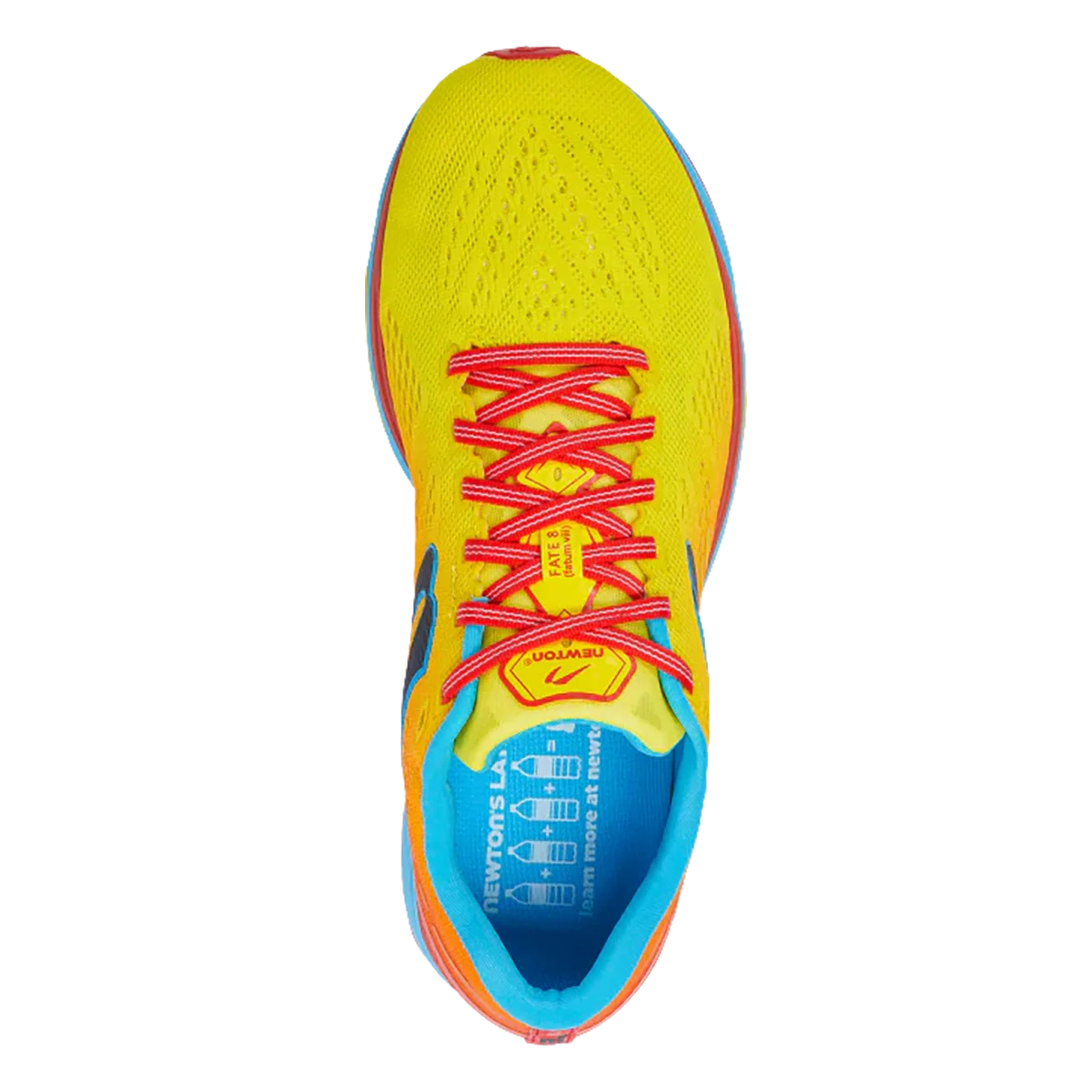 Newton Fate 8