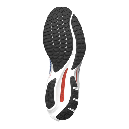 Mizuno Wave Rider 26