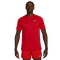 University Red - Reflective Silver
