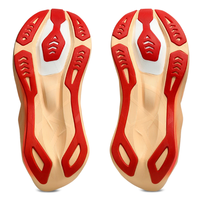 Asics Novablast 6