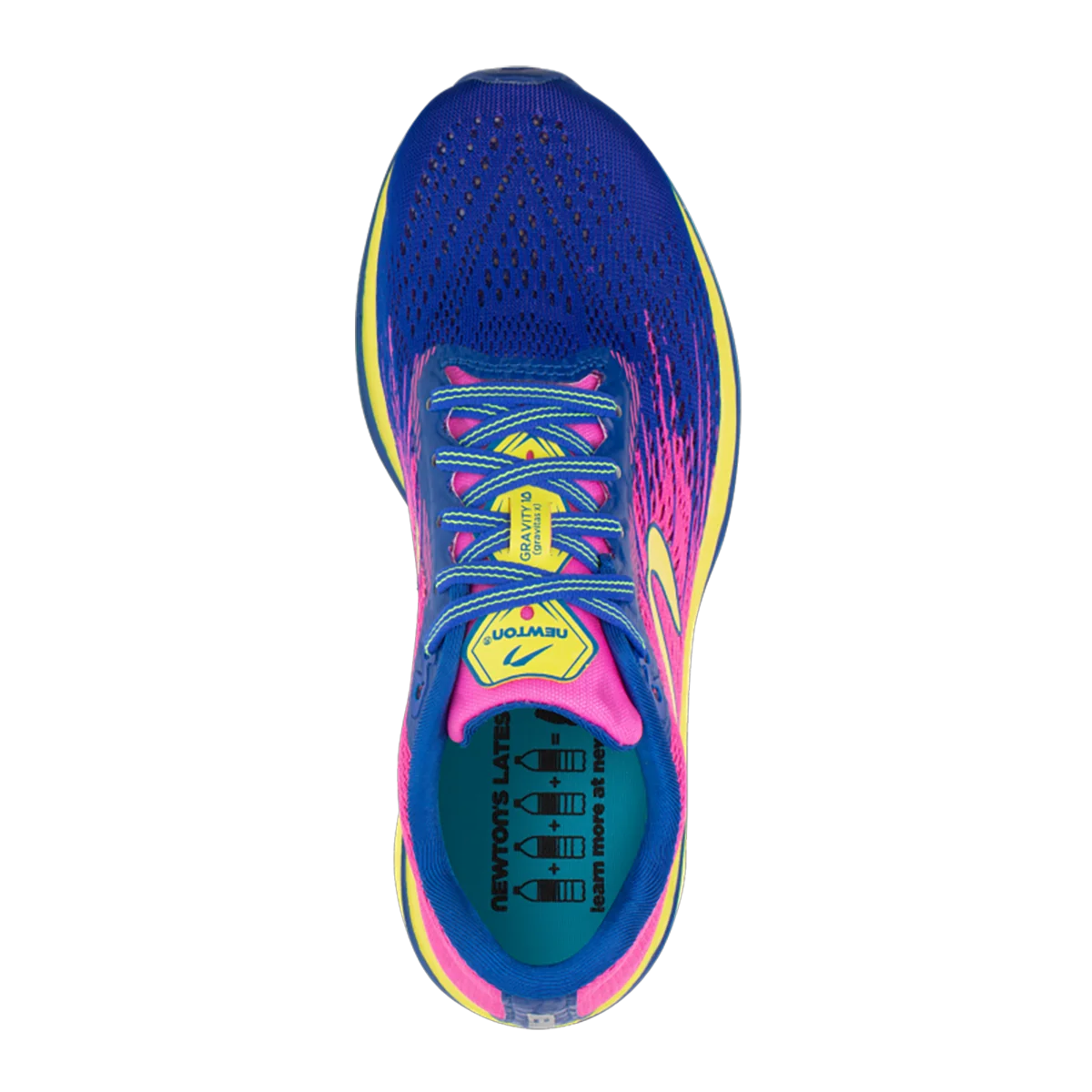 Newton Gravity 10