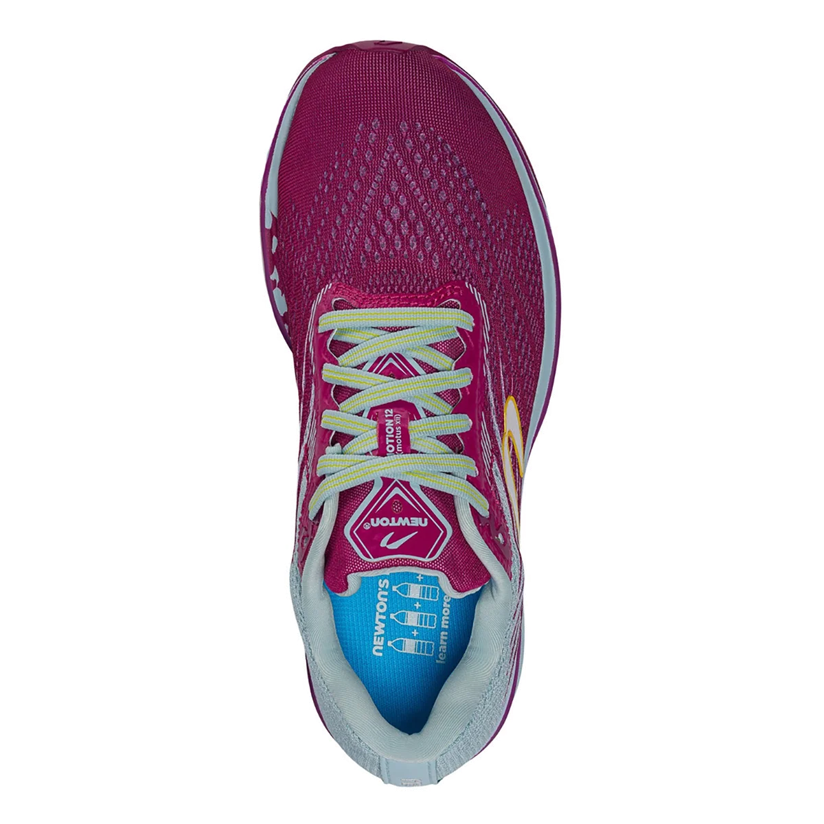 Newton Motion 12