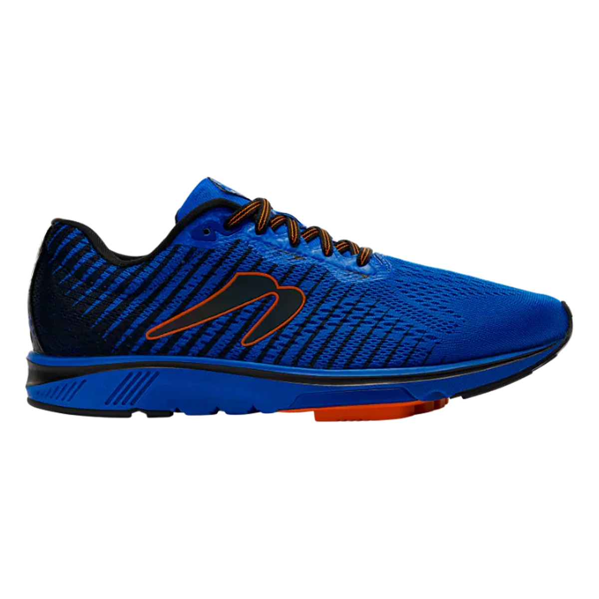 Newton Gravity 12