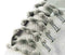 Ghost Gray