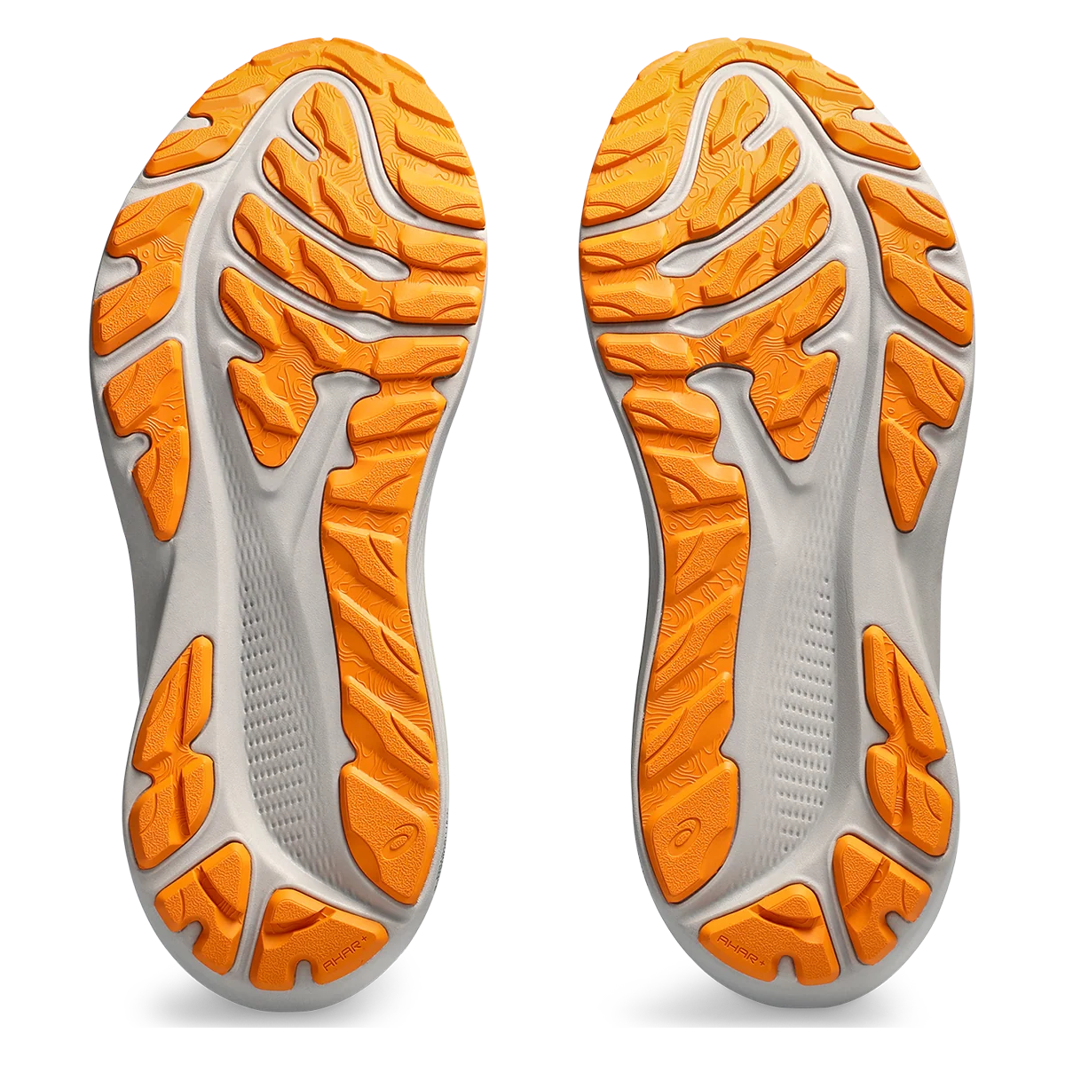 Asics GT 2000 12 TR