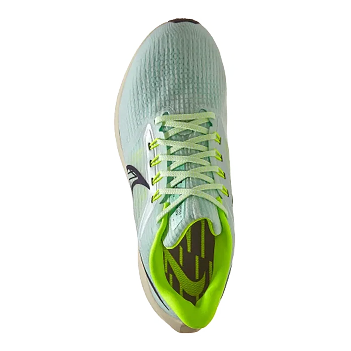 Nike Air Zoom Pegasus 39
