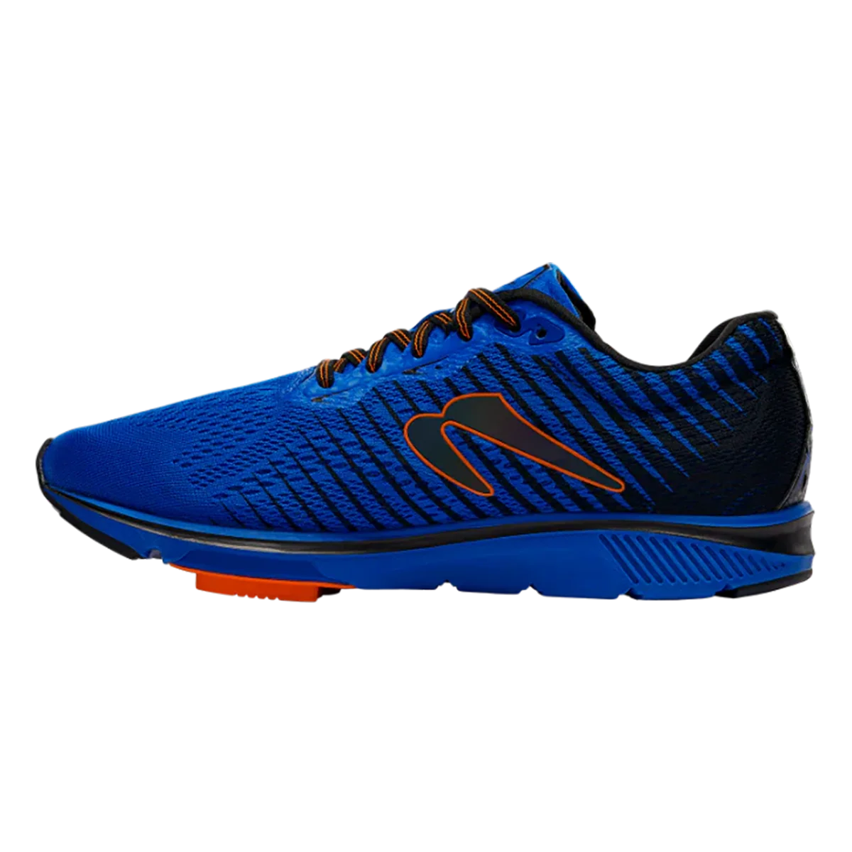 Newton Gravity 12